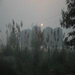 Vraj-Yatra-2014- (1305)